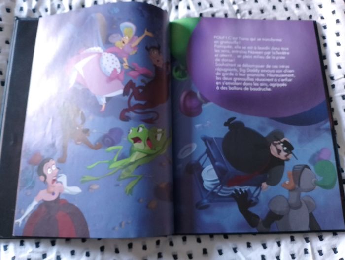 Livre Disney La Princesse et la Grenouille - photo numéro 3