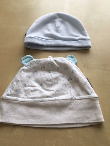 Lot de deux bonnets absorba 12 mois