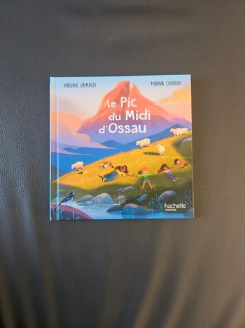 Livre Le pic du Midi d Ossau