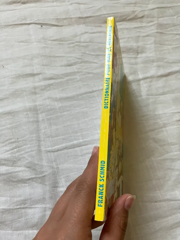 Livre enfant – Dictionnaire pour rire et réfléchir – Franck Schmid - photo numéro 2