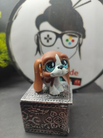 Lps001134 Littlest Petshop Pet Shop LPS Authentic Dog Basset Hound Chien 502