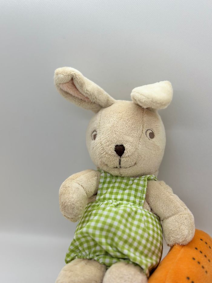 Doudou lapin et carotte - photo numéro 3