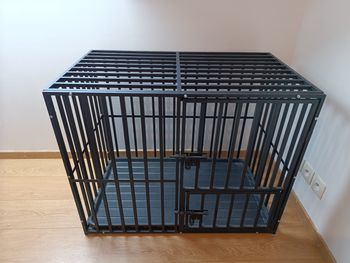 Cage chien 