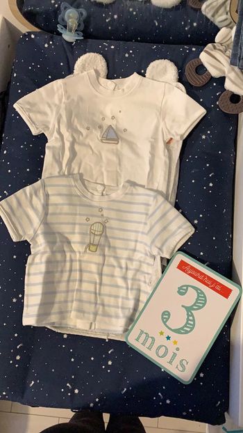 Lot de 2 tee shirt MC
