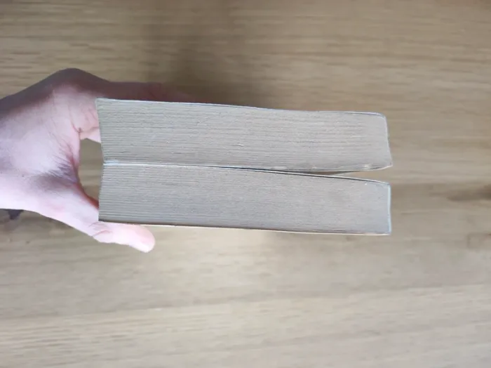 Lot Livre le chinois - photo numéro 6