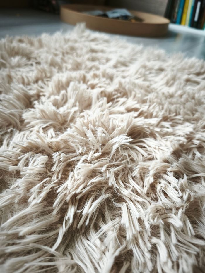 Tapis - photo numéro 2