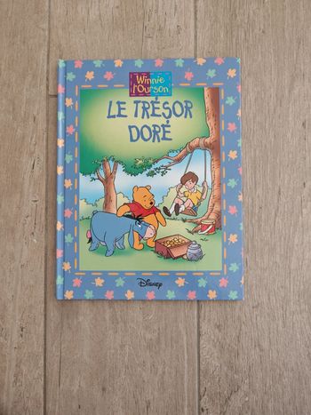 Livre enfant "Winnie l'ourson le trésor doré"