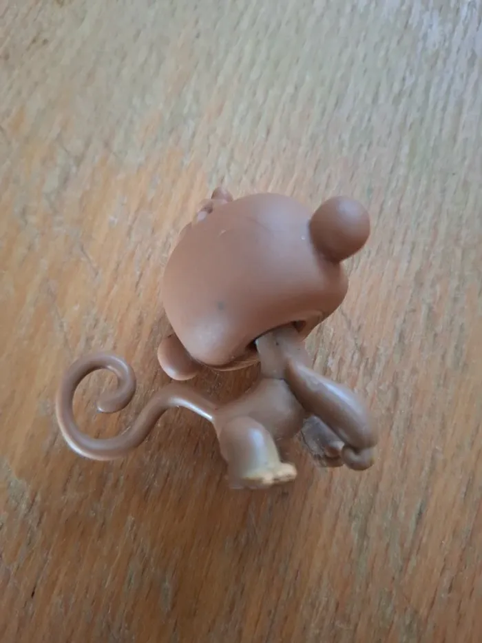 Petshop singe #256 - photo numéro 2