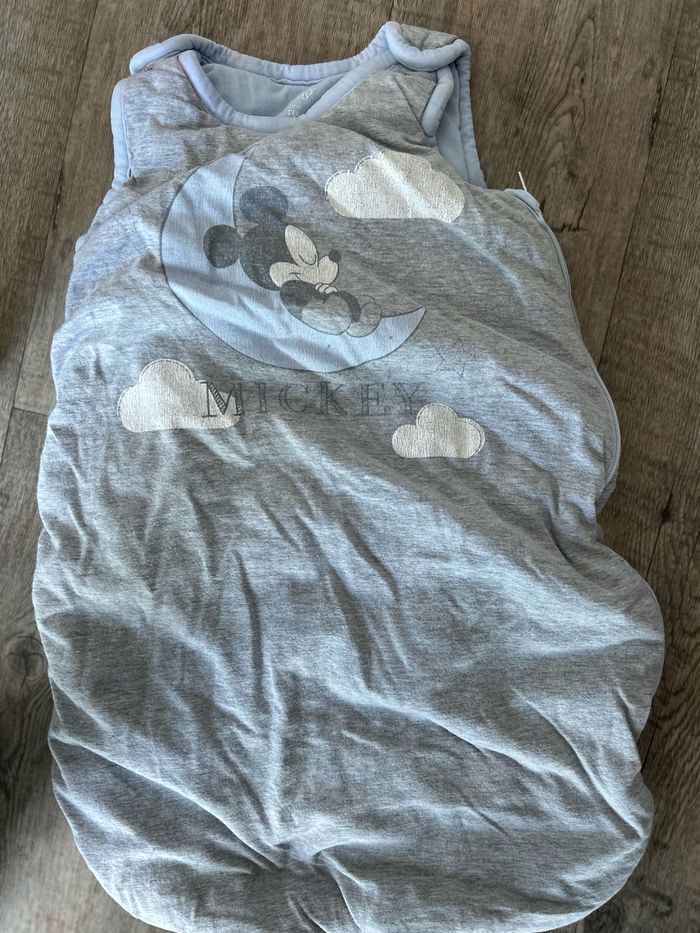 Gigoteuse chaude Mickey