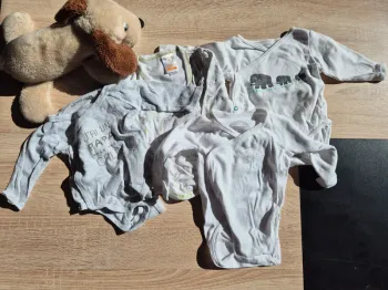 Lot bodies ML