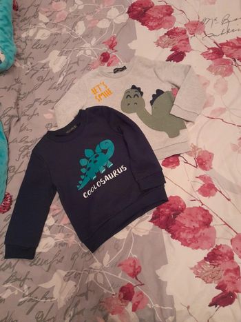 Pulls dinosaures 24mois