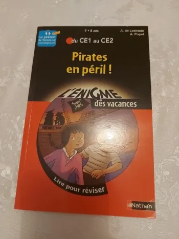 Livre Pirates en péril L'énigme de vacances