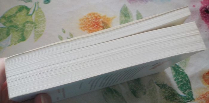 TREVANIAN de SHIBUMI Ed. Gallmeister (petit format) - photo numéro 5