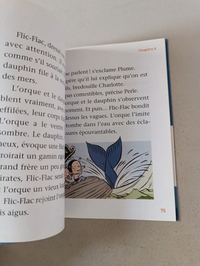 Plume le pirate l'attaque des carnivores et le géant des mers - photo numéro 4