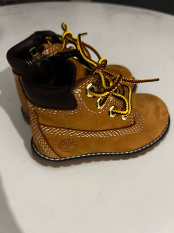 Timberland montante