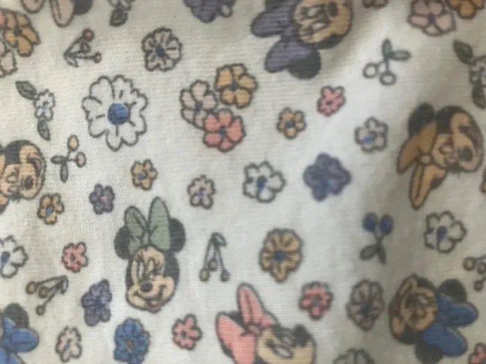 Ensemble Disney pour fille 9 mois - photo numéro 8