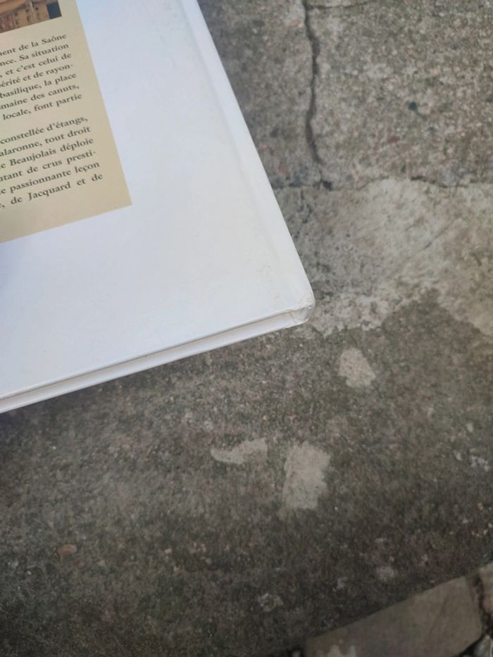 Livre beauté de Lyon et du beaujolais - photo numéro 14