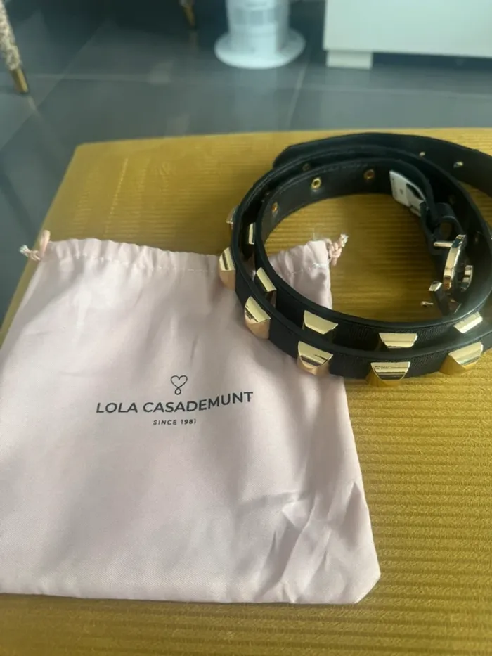Superbe ceinture - photo numéro 2