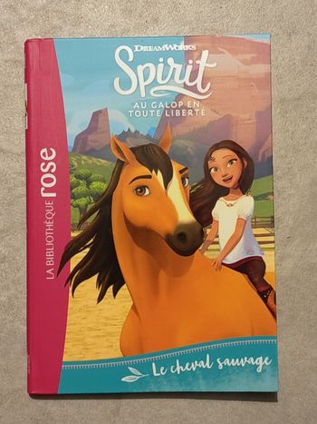 Spirit : le cheval sauvage 