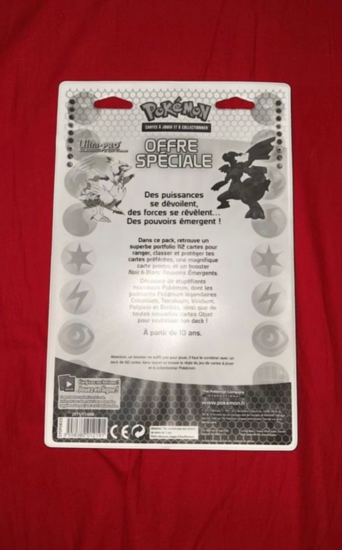 Portfolio Pokémon noir et blanc - photo numéro 2