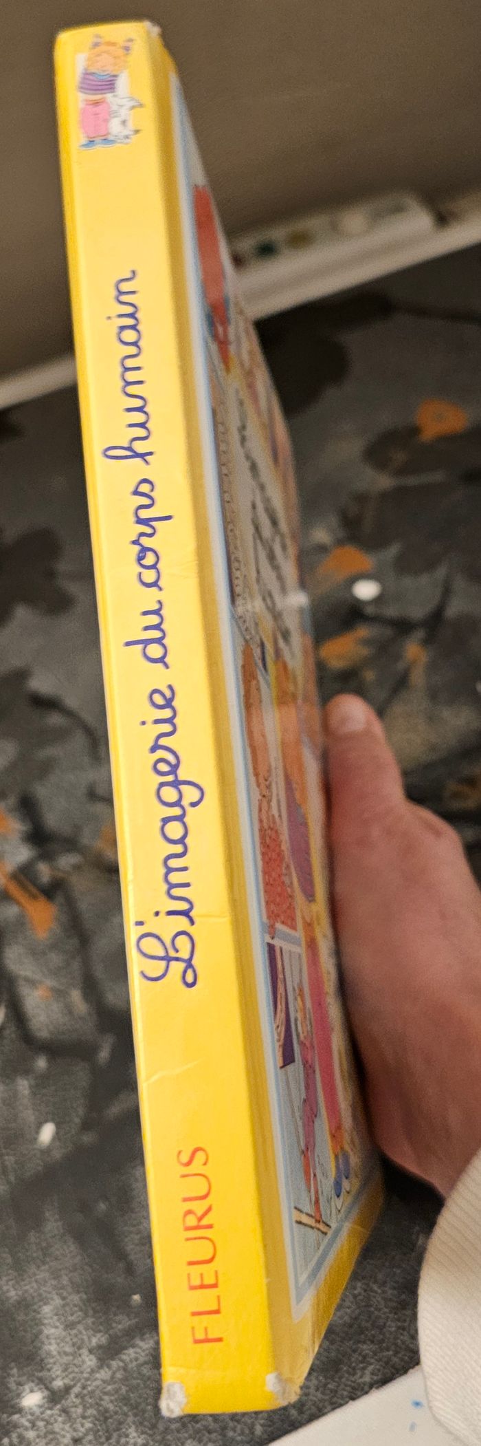 livre pour enfant L’imagerie du corps humain - photo numéro 6