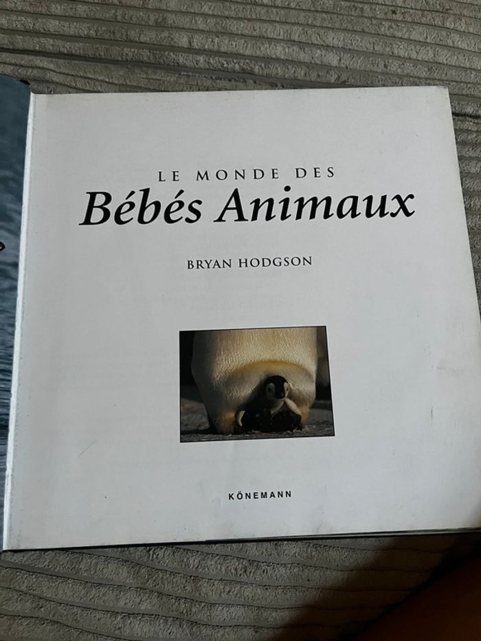 Le monde des bébés animaux - photo numéro 2