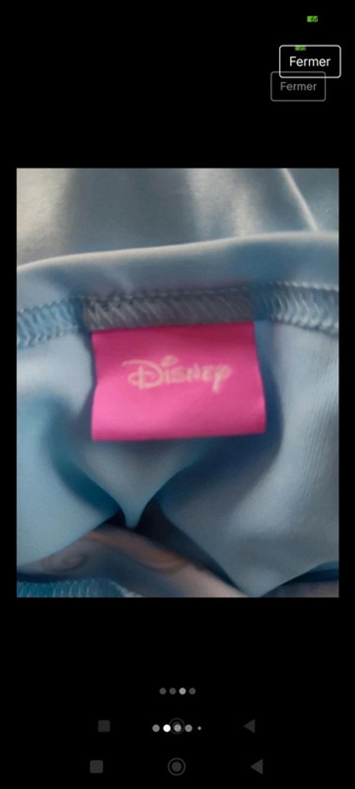 Déguisement Cendrillon - photo numéro 5