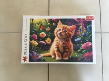 Puzzle 500 pièces
