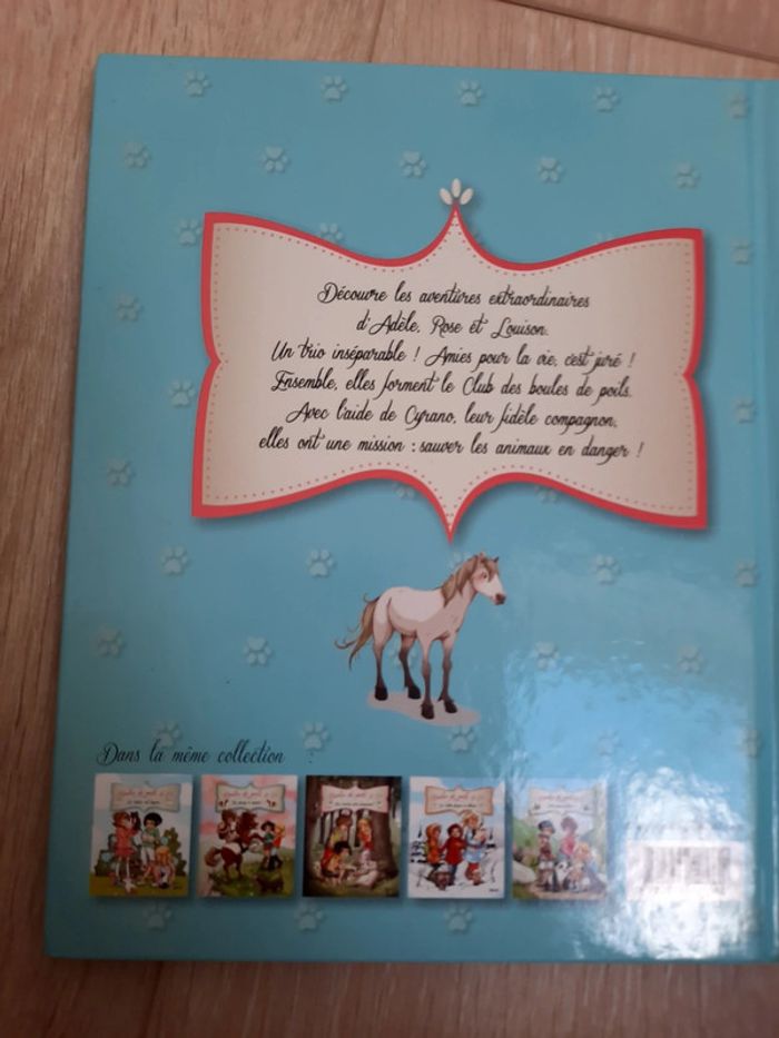 Lot de livres poney et chevaux - photo numéro 4