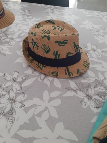 Chapeau de paille cactus