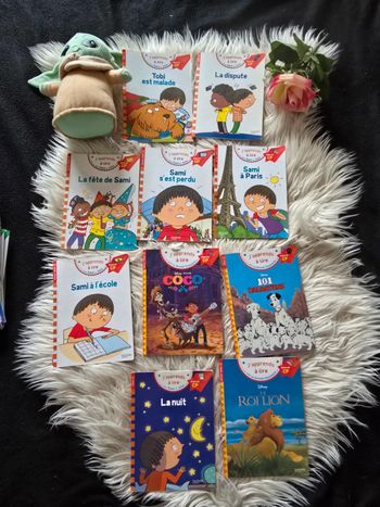Livres sami & julie début de Cp
