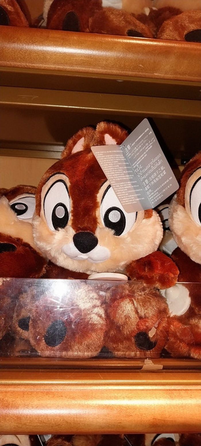 Pick-up Tic big feet Disney