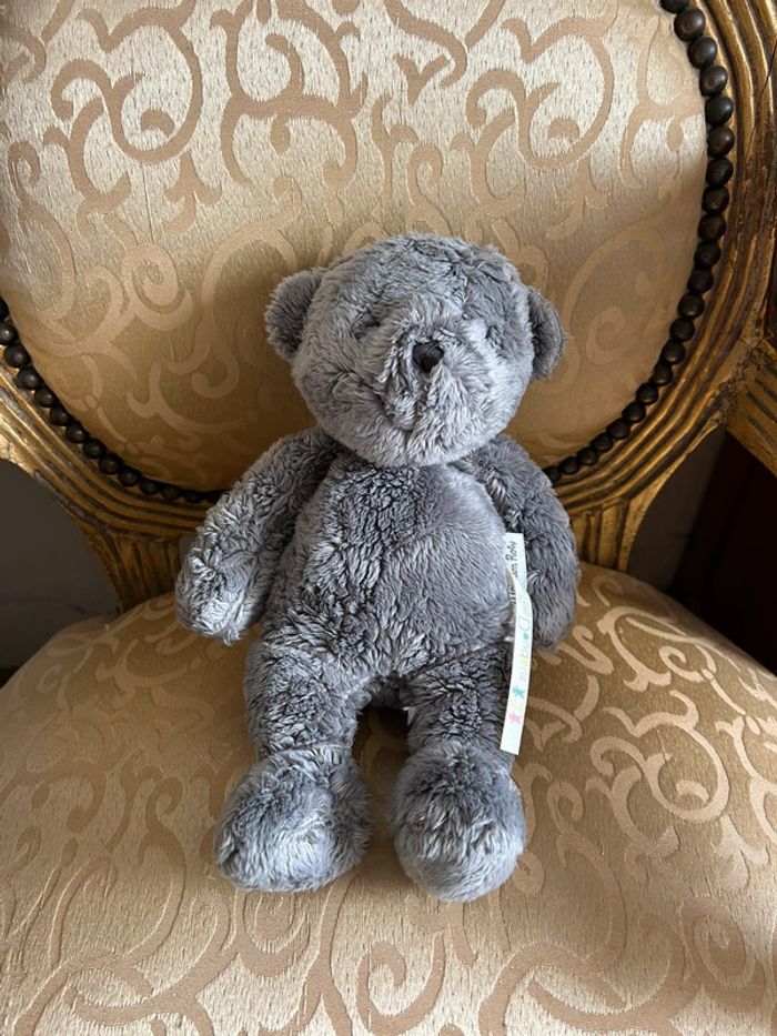 Petit ourson gris - photo numéro 2