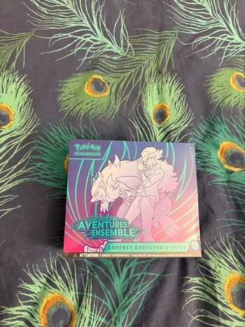 Etb aventures ensemble ev9 Pokemon