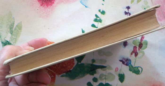 RAPHAEL GRAZIELLA d'A. de LAMARTINE Ed. Nelson années 30 - photo numéro 3