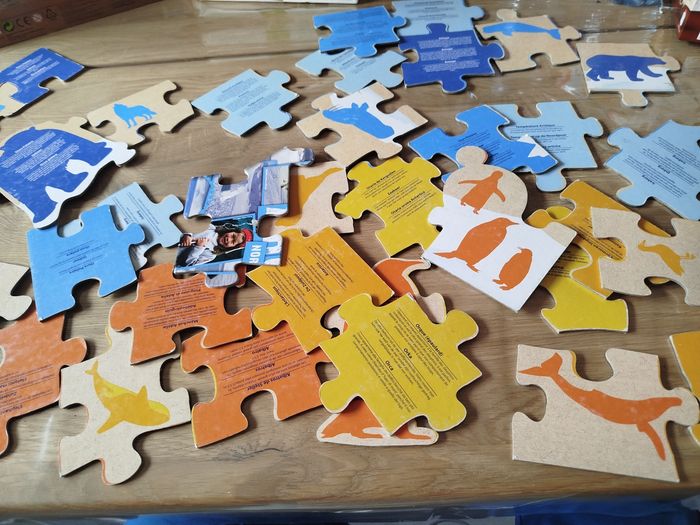 Puzzle - photo numéro 9