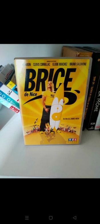 Brice de Nice