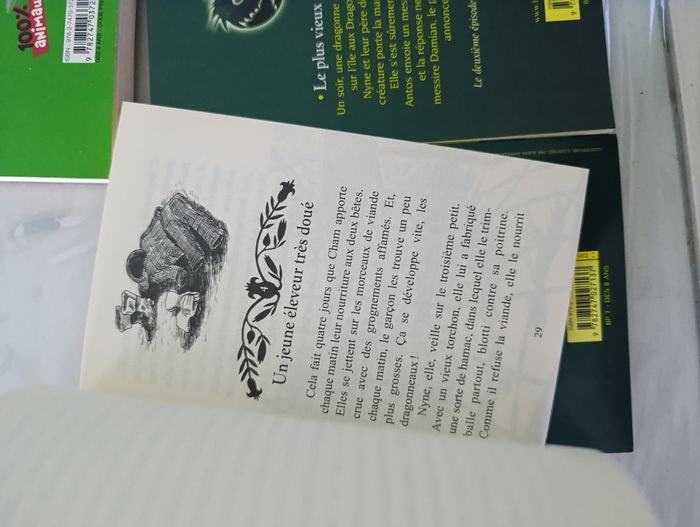 Lot de 7 livres pour enfant Fanny le ranch et les dragons de Nalsara - photo numéro 5