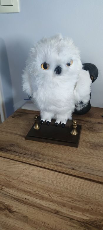 Chouette Harry Potter