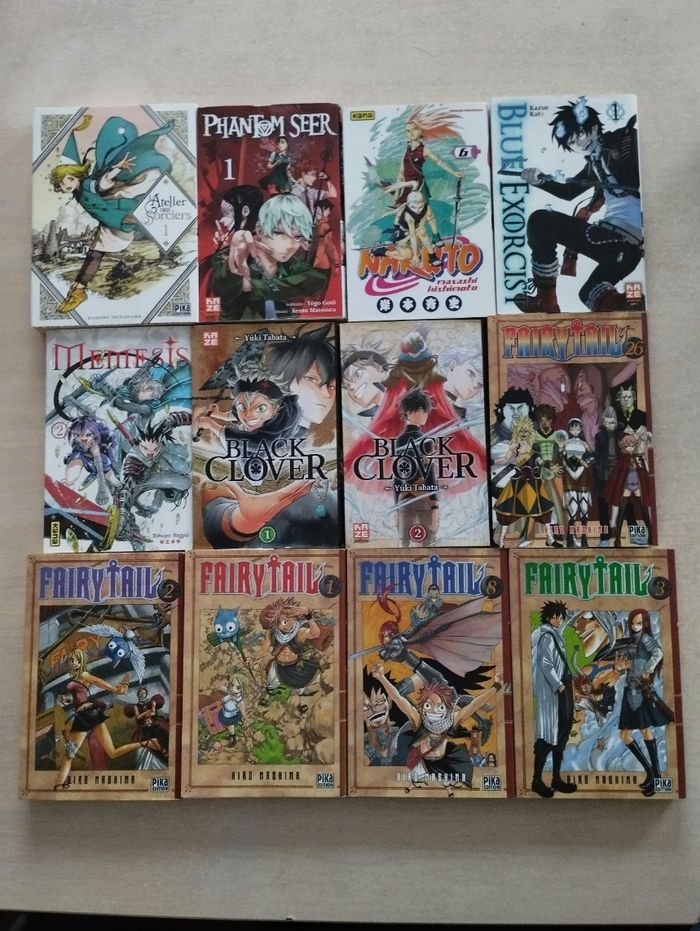 Lot de 12 mangas