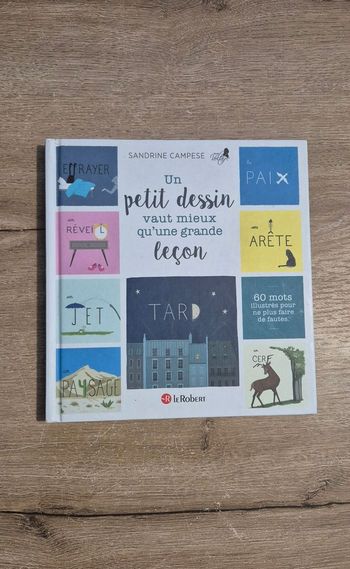 Un petit dessin vaut mieux qu'une grande leçon