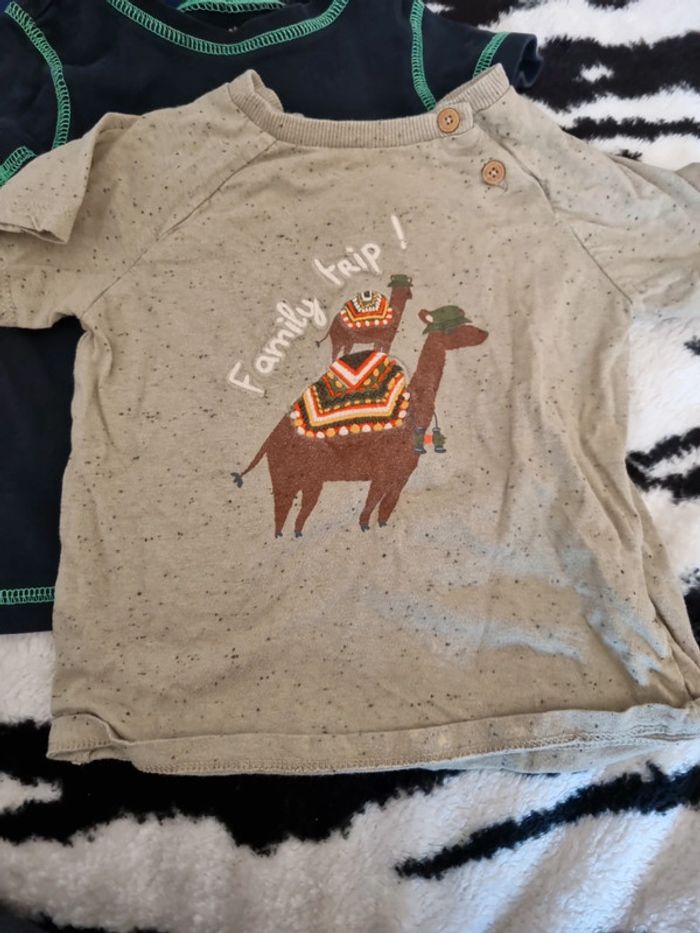 Lot trois t-shirt manches courtes - photo numéro 2