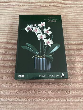 Orchidée  en construction 