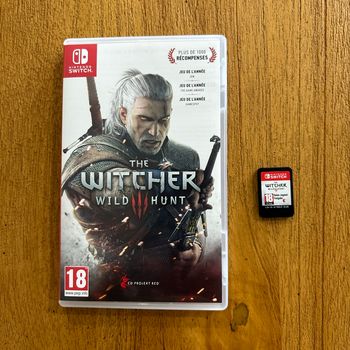 The witcher 3 wild hunt