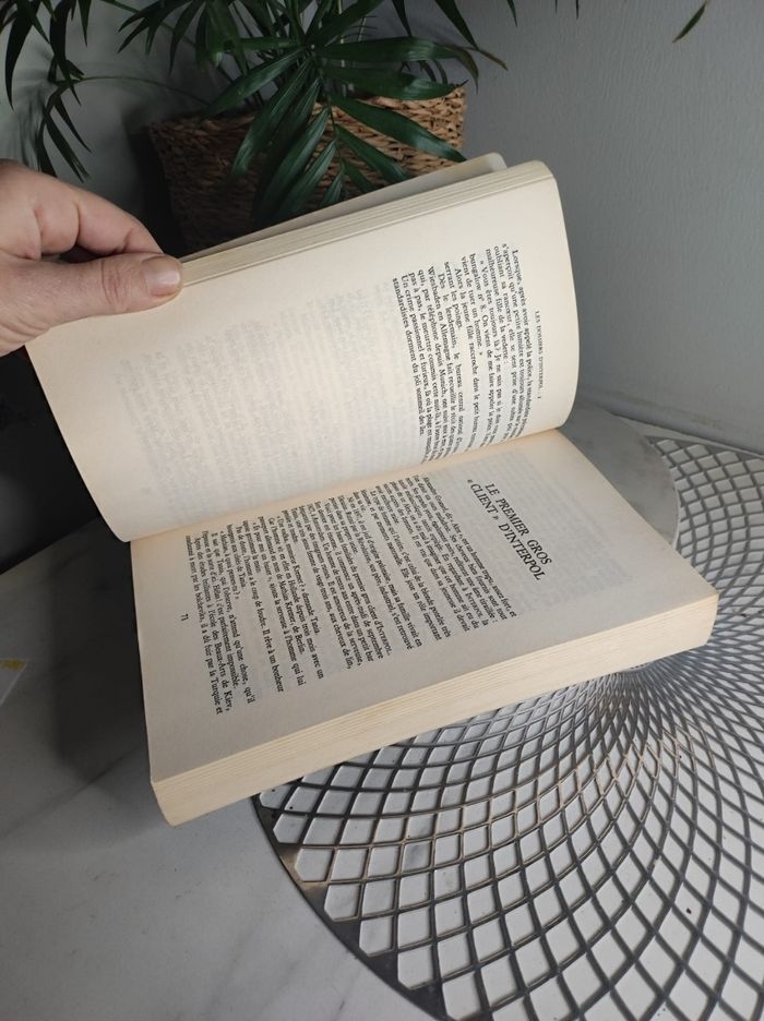 Les dossiers d'interpole 2 - photo numéro 4