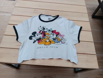 Mickey et ces amis L