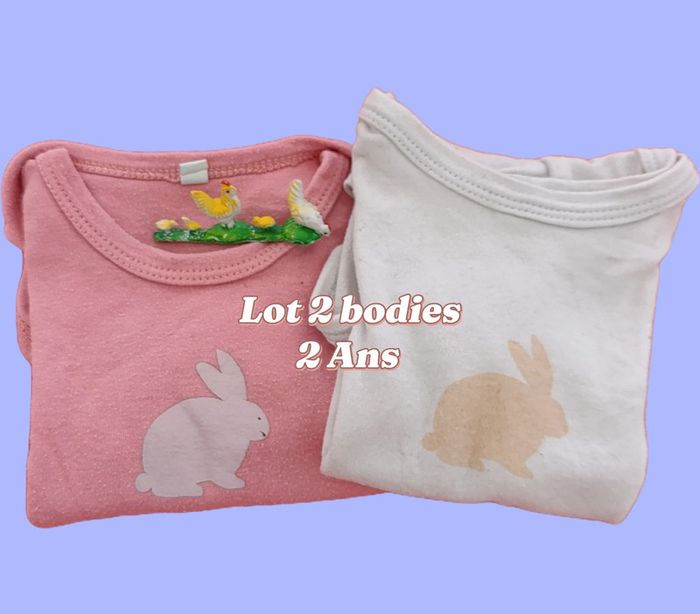 Lot 2 bodies manches courtes. 2 Ans.