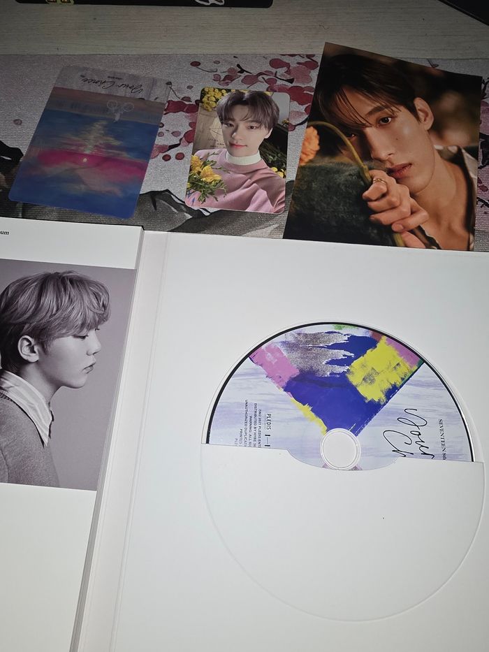 Seventeen- Your Choice - photo numéro 2