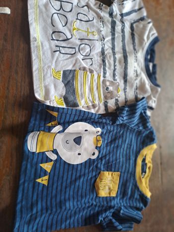 Lot de 2 t'shirt