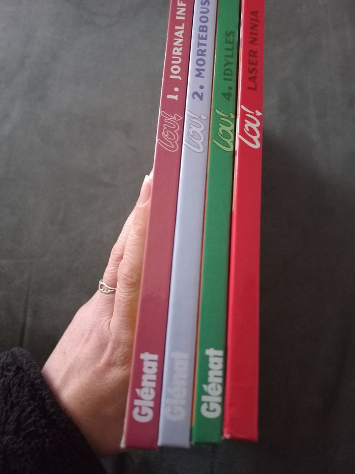 Lot 4 bd lou 1 2 4 5 - photo numéro 4